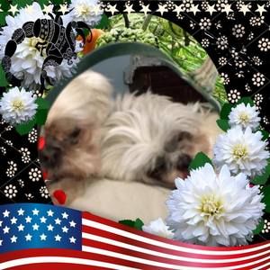 Meet your Posher, Jackie